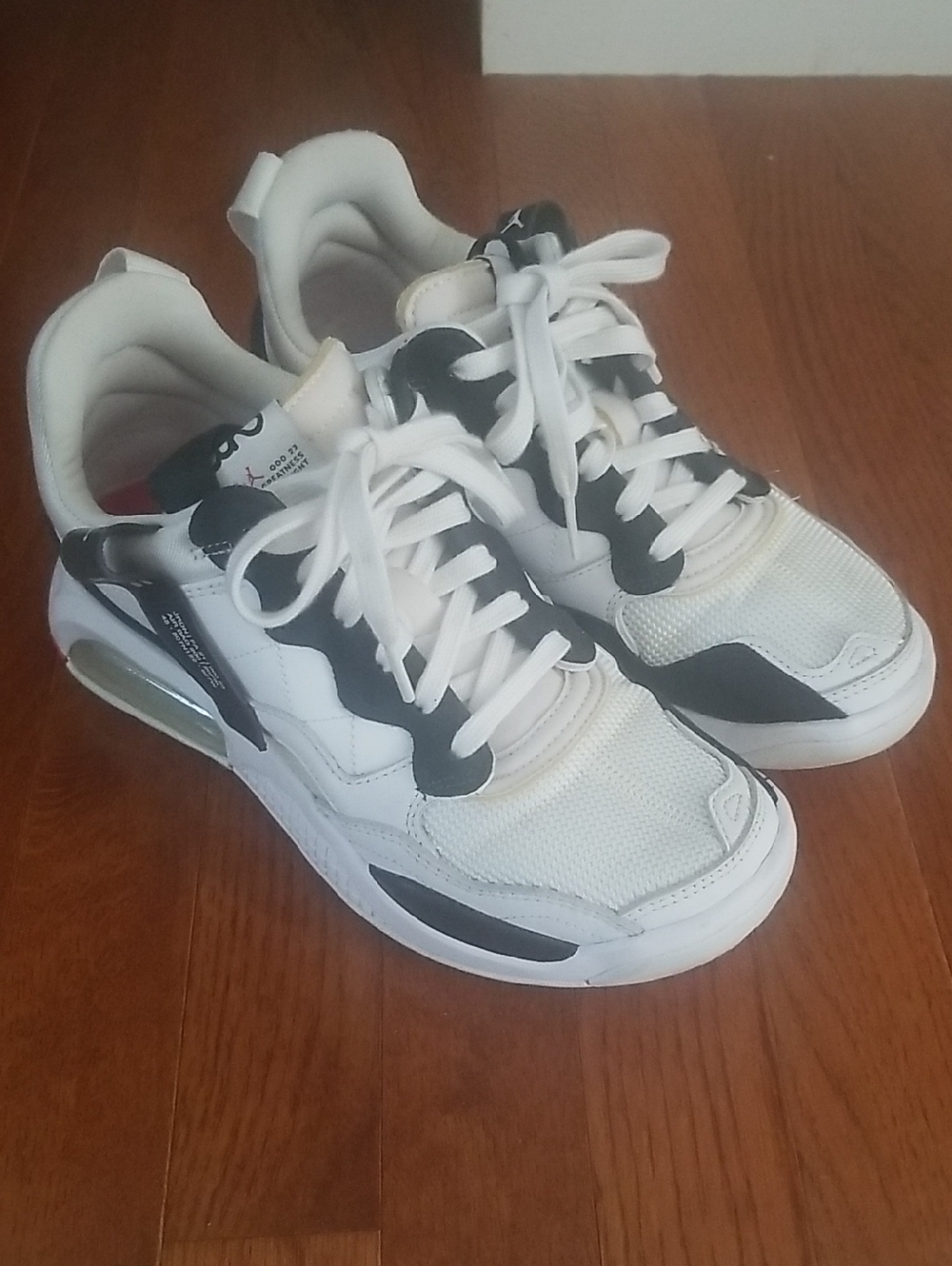 Nike Jordan Air Bag 200
